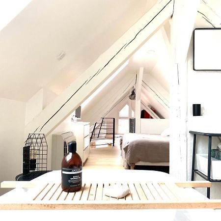 Appartement La Cle Des Toits à Colmar Extérieur photo